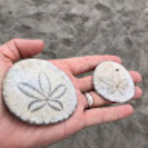 Meet your Posher, Dulce